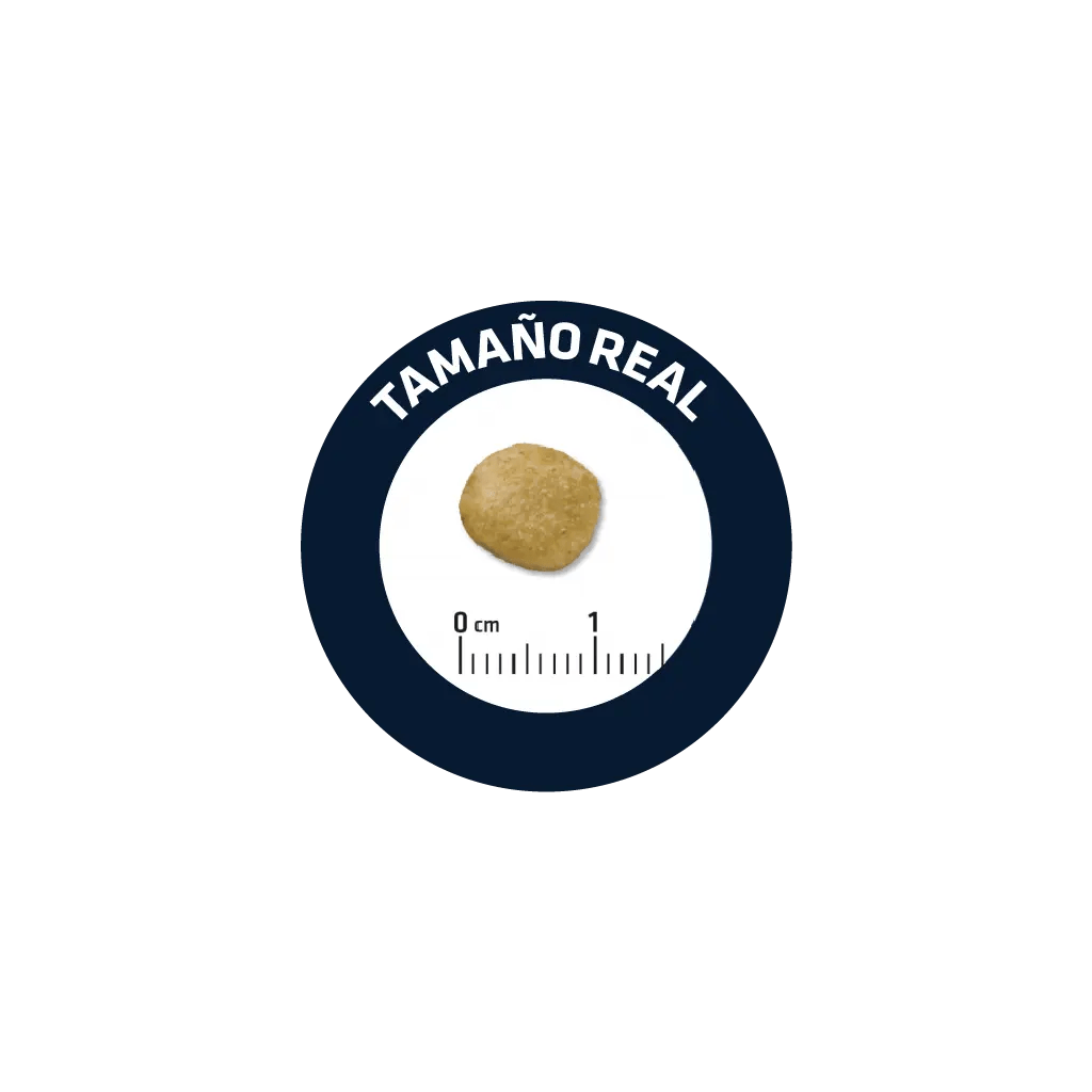 dieta canina perros con problemas renales. Advance Renal Failure | alimentación para perros-Bolypets