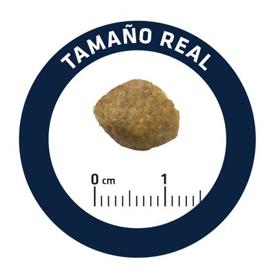 ALIMENTO ESPECIAL PARA PERROS ADVANCE DOG URINARY