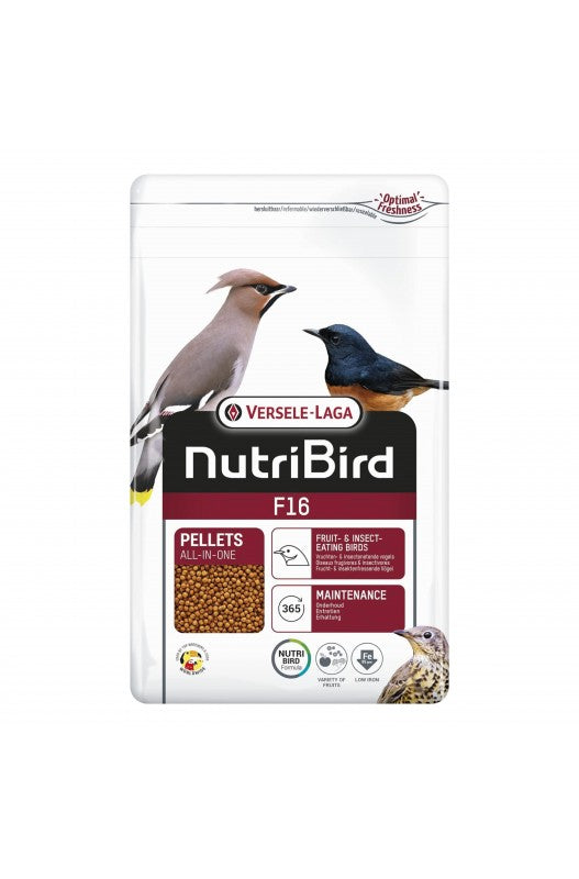 Alimento de mantenimiento para aves insectívoras e frugívoras Composición científicamente aprobada para, por ejemplo, palomas de fruta, zorzales y arrendajos contiene todos los nutrientes que sus aves necesitan