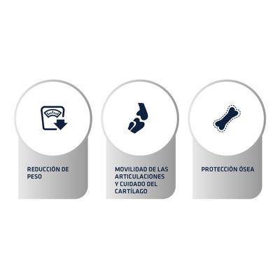 alimento perros problemas articulares. Advance Articular Care Canine