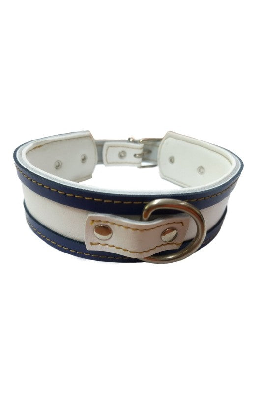 Collar especial galgos
