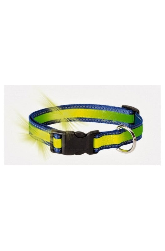 collar reflectante