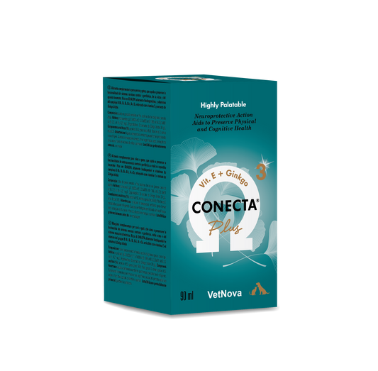 suplemento vitaminas del complejo B funcionalidad sistema nervioso perros y gatos de edad avanzada