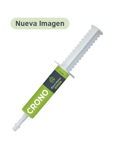 Electrolitos para caballos | electrolitos y suplementos caballos | electrolitos y suplementos caballos-Bolypets