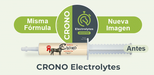 Electrolitos para caballos | electrolitos y suplementos caballos- | electrolitos y suplementos caballos-Bolypets