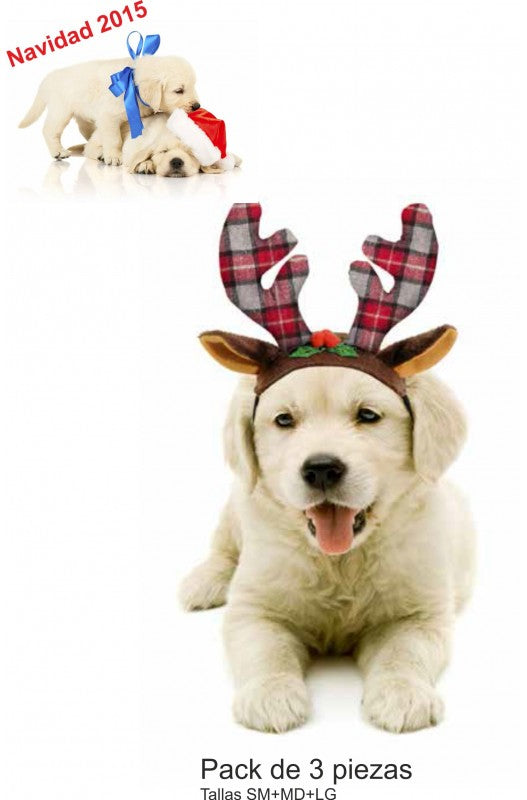 CUERNO DE RENO PACK 3 PIEZAS | Accesorios para perros-Bolypets