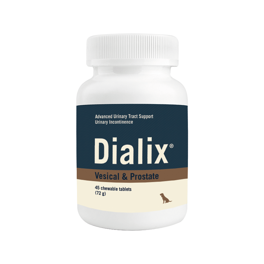 • DIALIX_Vesical_Prostate Ayuda a mantener el tono muscular de la vejiga y su esfínter.
• Contribuye a un vaciado y funcionamiento de la vejiga saludables.
• Para hembras esterilizadas y animales de edad avanzada.
• Machos no castrados.
