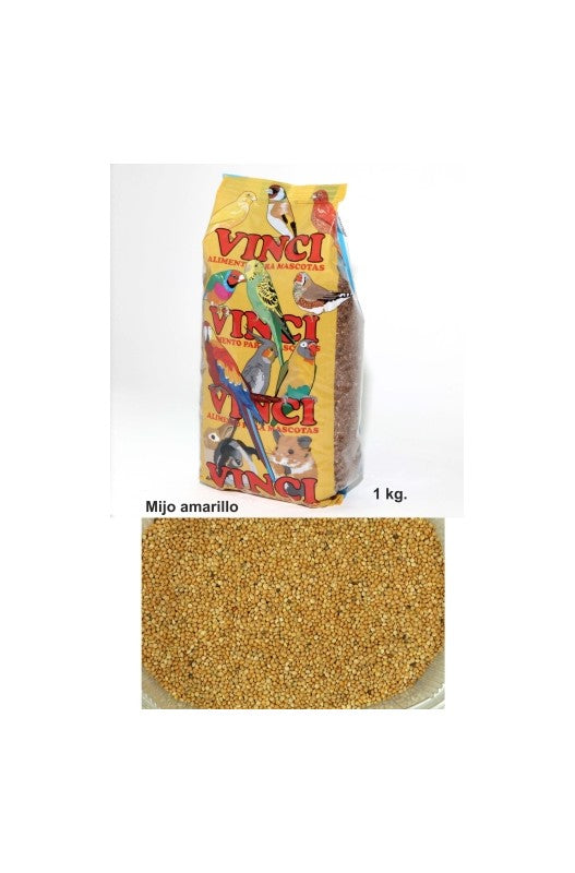 El mijo es una semilla redondeada que resulta imprescindible dentro de la dieta de los inseparables y los periquitos.