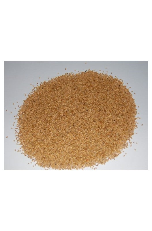 panizo en grano alimento para pájaros