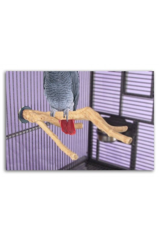 Percha loro para posarse