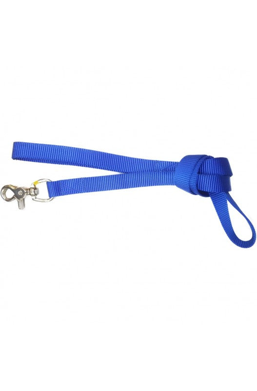 RAMAL PARA PERROS COLOR AZUL CON GANCHO GARFIO PARA MAYOR SEGURIDAD