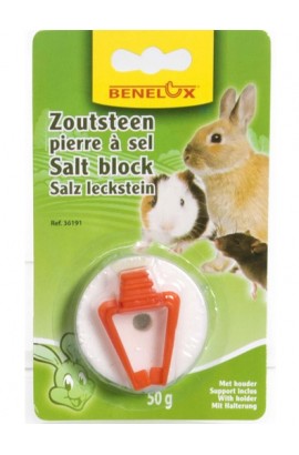 PIEDRA DE SAL PARA LOS ROEDORES | alimentacion conejos y roedores-Bolypets