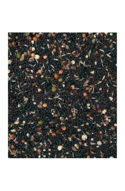 COMIDA PARA PAJAROS SEMILLAS PARA GERMINAR