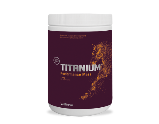 suplemento completo y equilibrado para el mantenimiento y desarrollo muscular de los caballos. entrenamiento intensivo y competiciones. | electrolitos y suplementos caballos-Bolypets