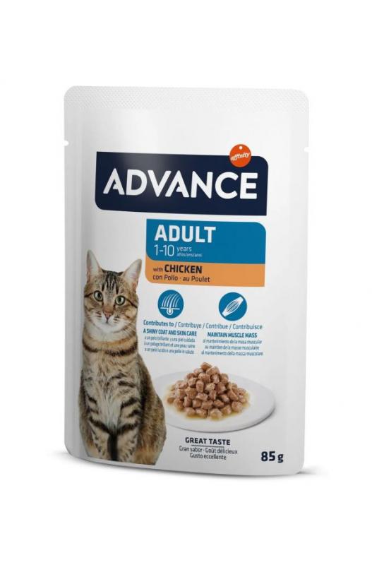 alimento húmedo completo y balanceado gatos adultos. | alimentación para gatos-Bolypets