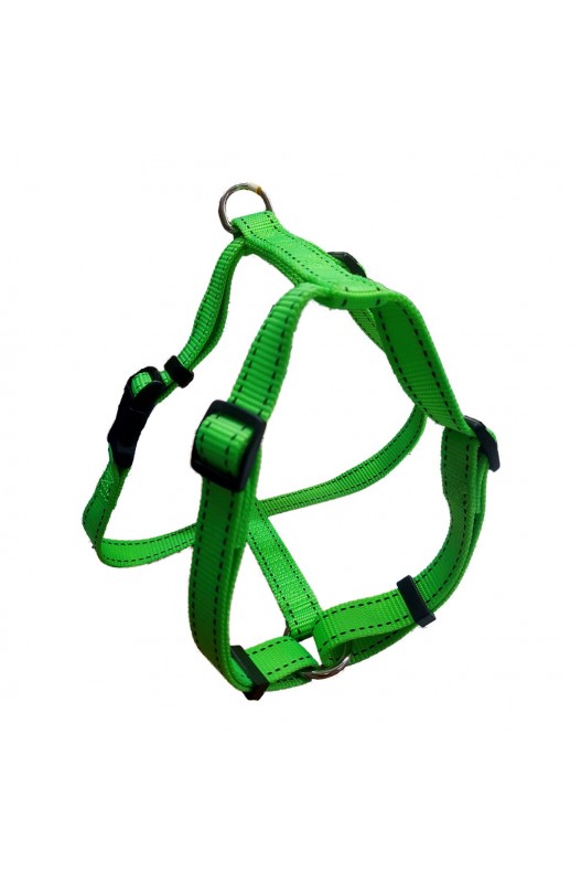 arnes verde neon