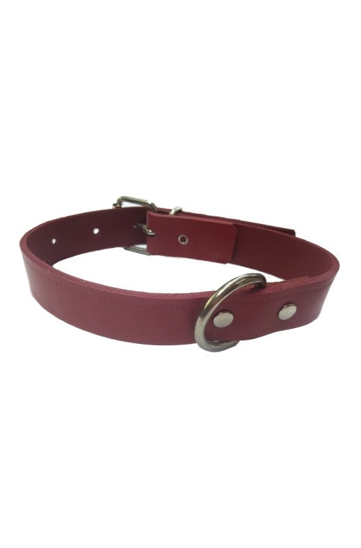 collar rojo de cuero