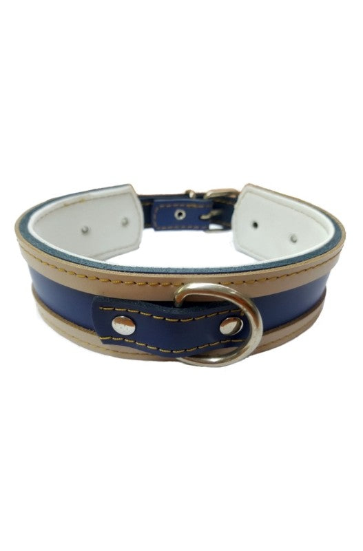 collar especial galgos
