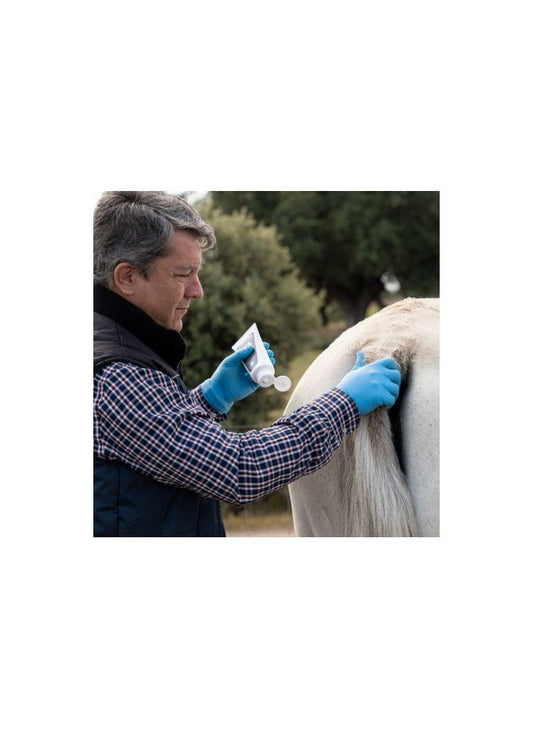 Crema Regenerante Antipicores 200 ml |Cuidado de la pelo y piel caballos-Bolypets
