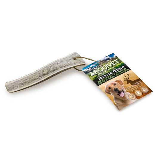 Media asta de ciervo para perros | Ideal como mordedor | snack 100 % natural - premia a tu perro en bolypets.com