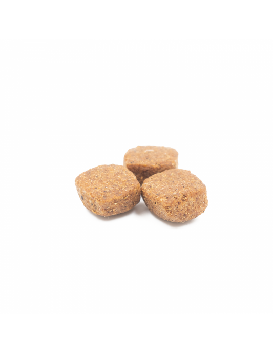 ALIMENTO COMPLETO PARA PERROS|alimentos naturales para perros -Bolypets