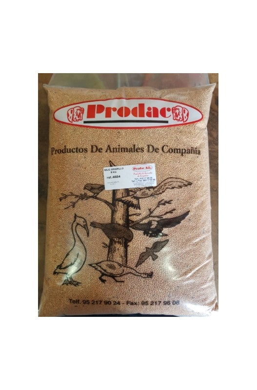 El mijo es una semilla redondeada que resulta imprescindible dentro de la dieta de los inseparables y los periquitos.