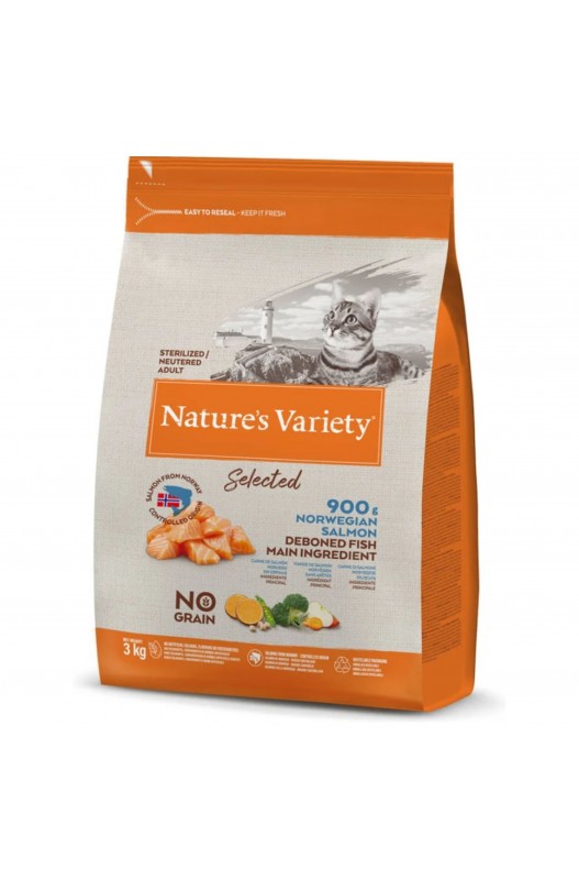 comida gatos | alimentación para gatos-Bolypets