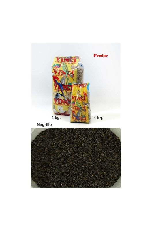 negrillo