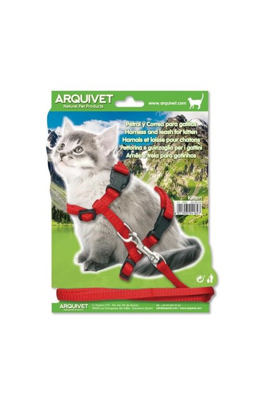 petral y correa para gatitos | arneses, collares y correa para gatos-Bolypets