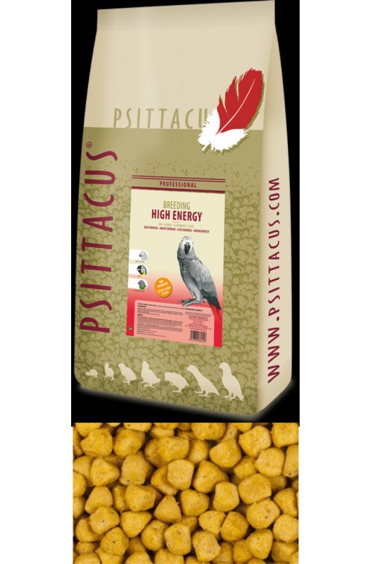 pienso cria alta energia pajaros