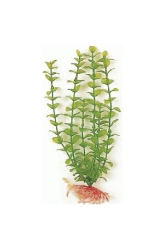 GREEN BACOPA PLANTA ACUARIO | Accesorios plantas y decoración-Bolypets