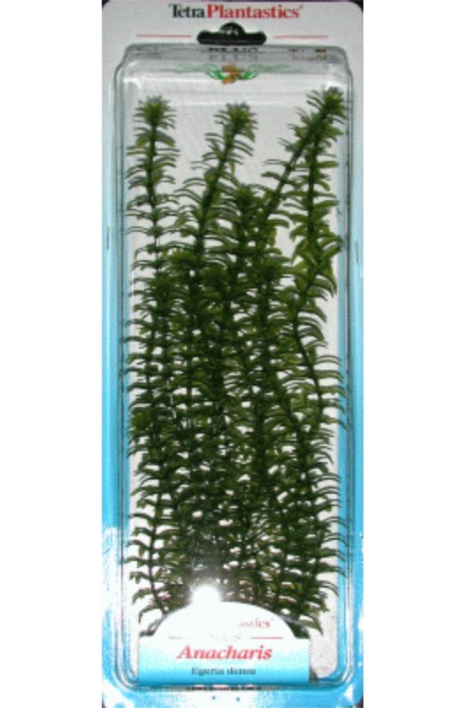 planta Anacharis para acuarios| Accesorios plantas y decoración-Bolypets
