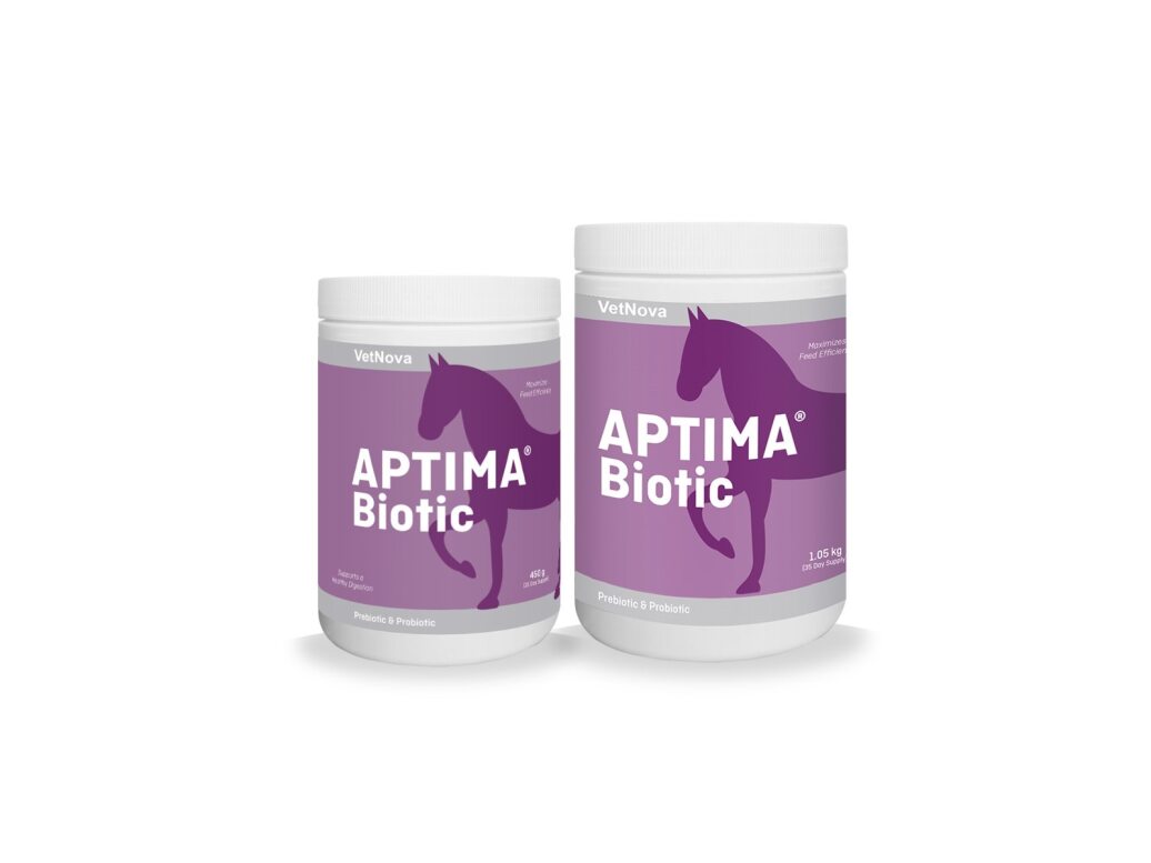 Prebióticos y probióticos salud gastrointestinal caballos | electrolitos y suplementos caballos-Bolypets