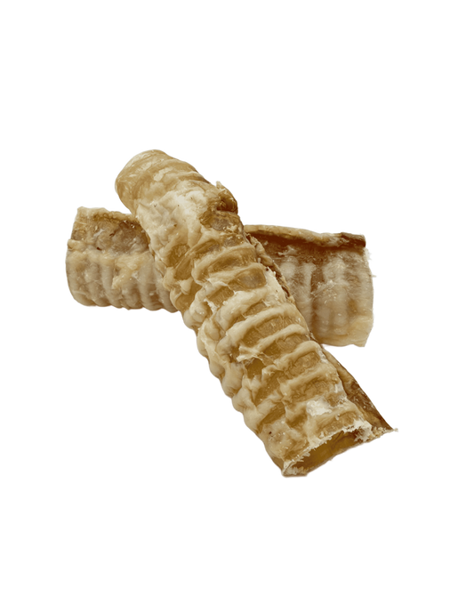 Tráquea de Ternera Deshidratada (2 unidades) |Snacks naturales para perros -Bolypets