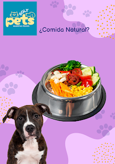  Blog Comida natural para perros