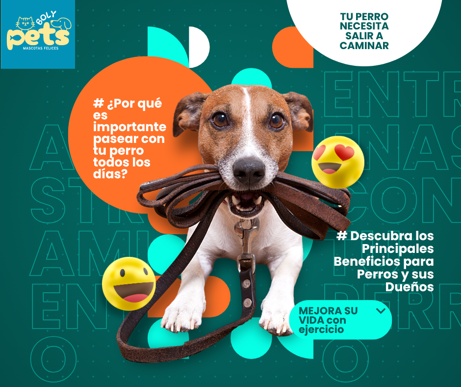La importancia del ejercicio en nuestras Mascotas