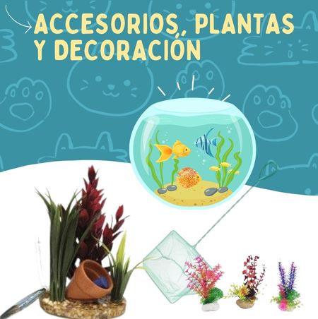 Accesorios, plantas y decoración