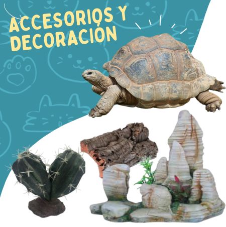 Accesorios y decoración Reptiles