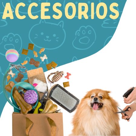 Accesorios para perros