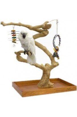 parque y juguetes para pajaros