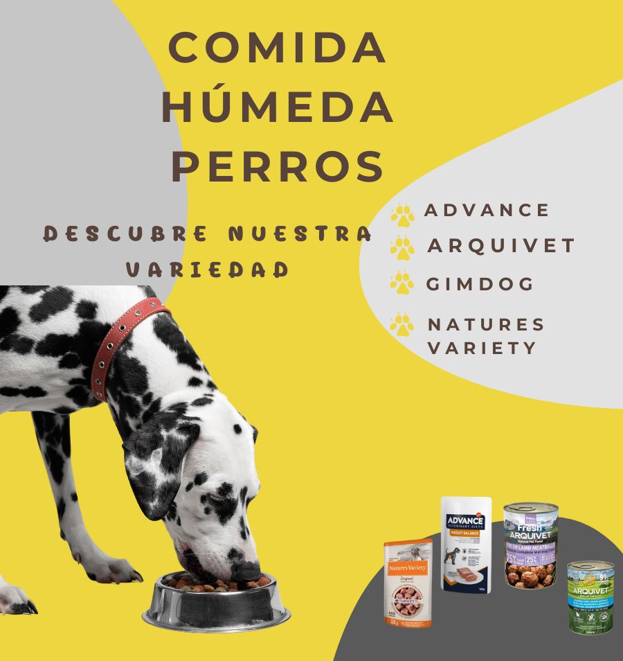 Comida Húmeda Perros