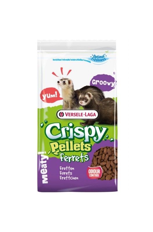 comida pienso para hurones 