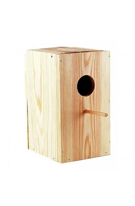 nido pajaros pájaros