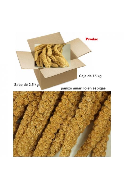 panizo en espigas para pajaros