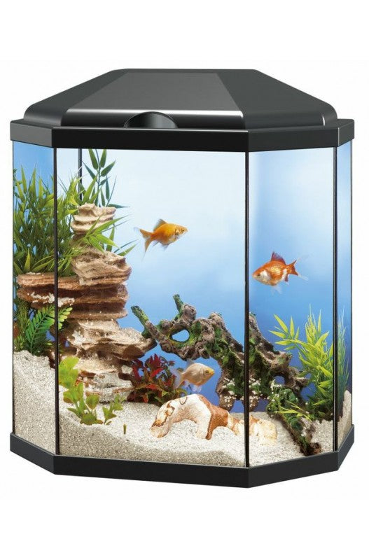  Acuario Rena Aqua30 Octogonal LED 25Litros Acuario para peces totalmente equipado, decorativo y de muy fácil utilización. Su tapa es abatible gracias a las bisagras de las que dispone su tapa es abatible. 