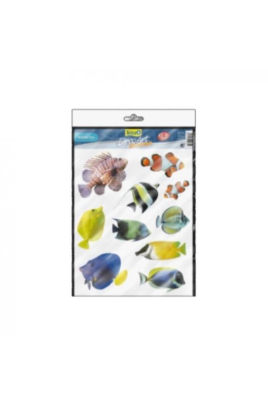 Adhesivos Tetra ideal para posters.  | Accesorios plantas y decoración-Bolypets