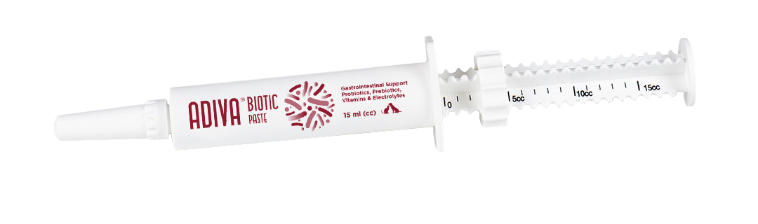 complementario gastrointestinal probioticos y prebioticos para perros y gatos ADIVA® Biotic Paste 