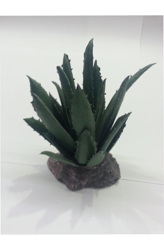 Cactus Sierra Madre de 12 cm es un elemento decorativo diseñado para terrarios, ideal para recrear hábitats desérticos o áridos. Este accesorio proporciona un entorno visualmente atractivo y estimula los comportamientos naturales de reptiles, anfibios y otros animales de terrario