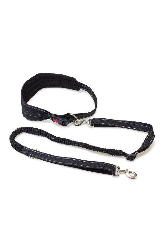 CINTURON PARA PASEAR PERROS