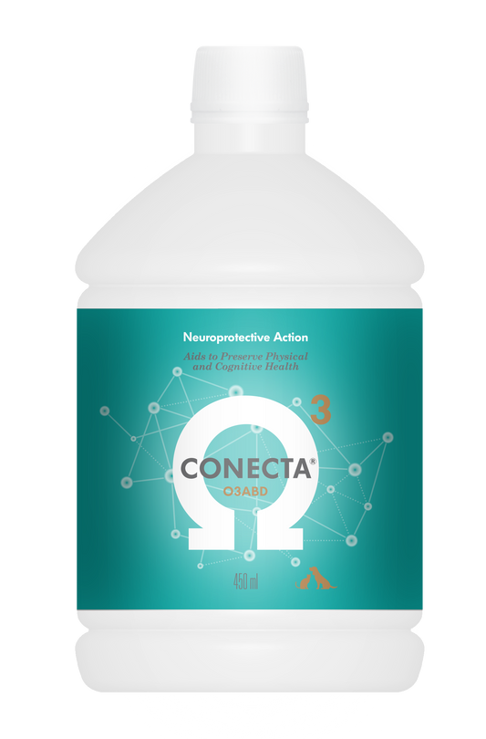 Solución vitaminas del complejo B funcionalidad  sistema nervioso  perros y gatos de edad avanzada